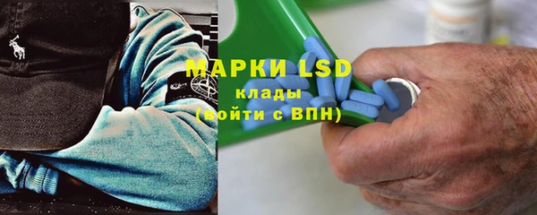 индика Иннополис