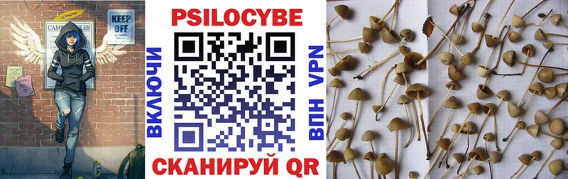 Галлюциногенные грибы GOLDEN TEACHER  Калтан 